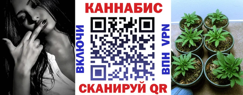 Купить где  Юрьевец  Марихуана Amnesia 